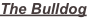 shapeimage_3_link_5